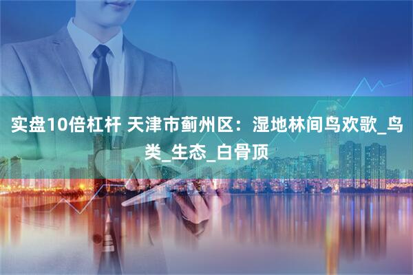 实盘10倍杠杆 天津市蓟州区：湿地林间鸟欢歌_鸟类_生态_白骨顶