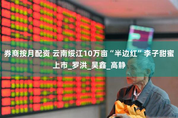 券商按月配资 云南绥江10万亩“半边红”李子甜蜜上市_罗洪_吴鑫_高静