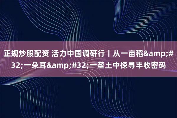 正规炒股配资 活力中国调研行丨从一亩稻&#32;一朵耳&#32;一垄土中探寻丰收密码