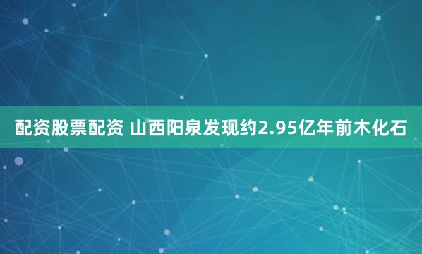 配资股票配资 山西阳泉发现约2.95亿年前木化石